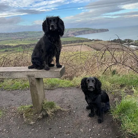 펜션 Bank Barn Double Bedroom Self-catering 2 Guests